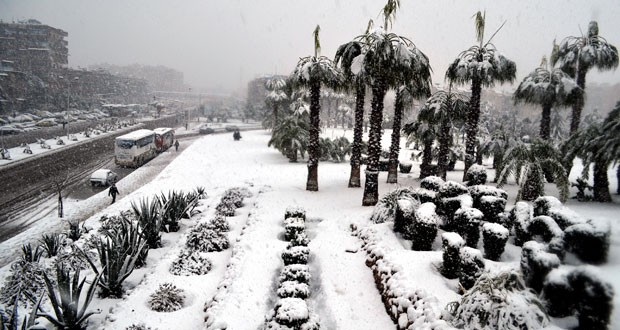 Ближний Восток засыпало снегом (+5 фото)