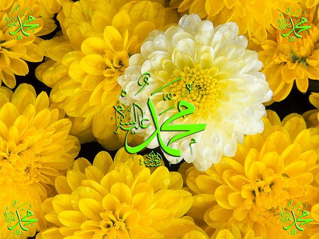 Наш Пророк ﷺ