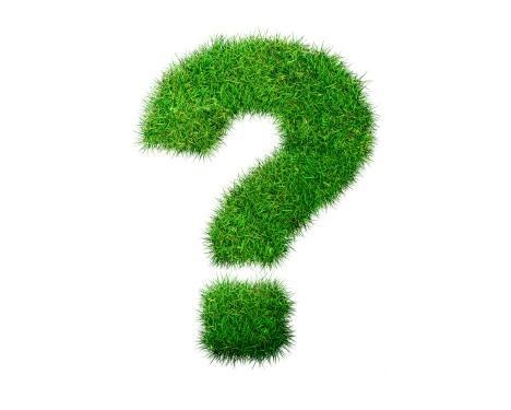 Можно ли самостоятельно научится читать Коран? Дозволено ли женщине посещать могилы? Дозволено ли ставить Коран вместо мелодии звонка?