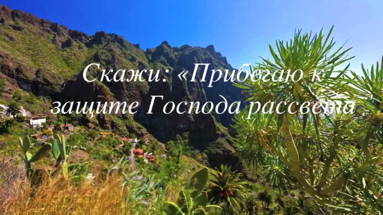 Суры защиты «Муаввизатайн»